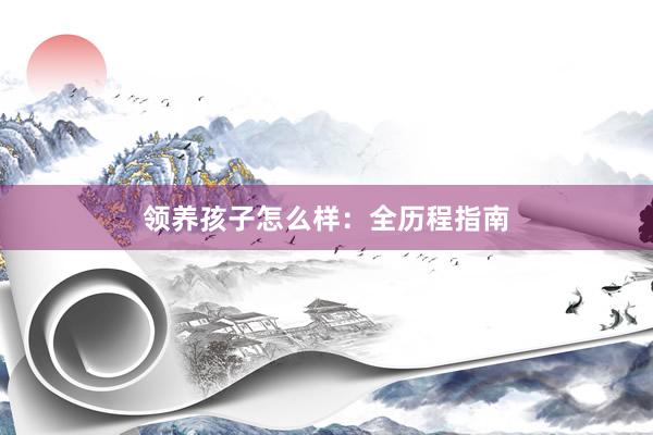 领养孩子怎么样：全历程指南